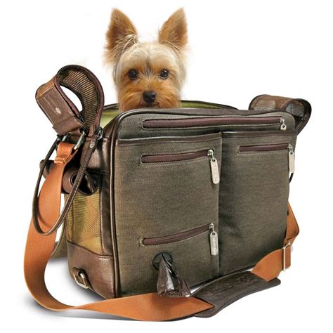 purse to carry small dog.